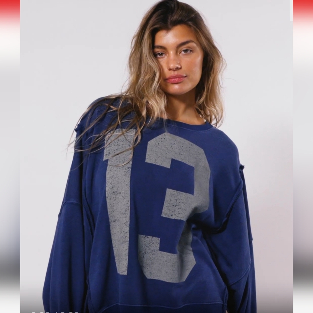 NWT Free People We The Free "13" Graphic Camden Pullover Sweatshirt Blue